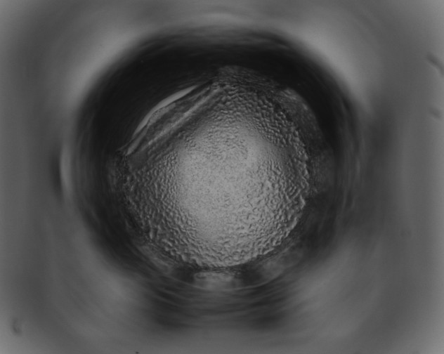 X0000092280765200710051143