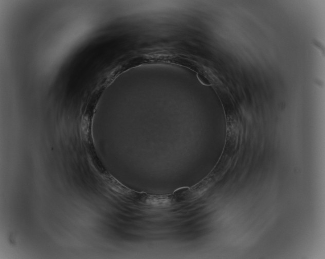 X0000092280767200710051143