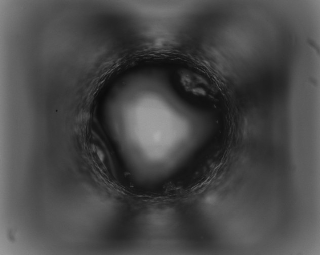 X0000092280769200710051143