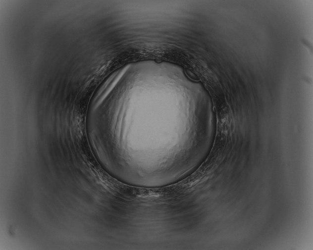 X0000092280772200710051143