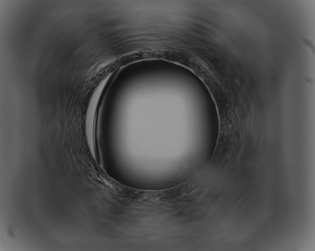 X0000092280773200710051143