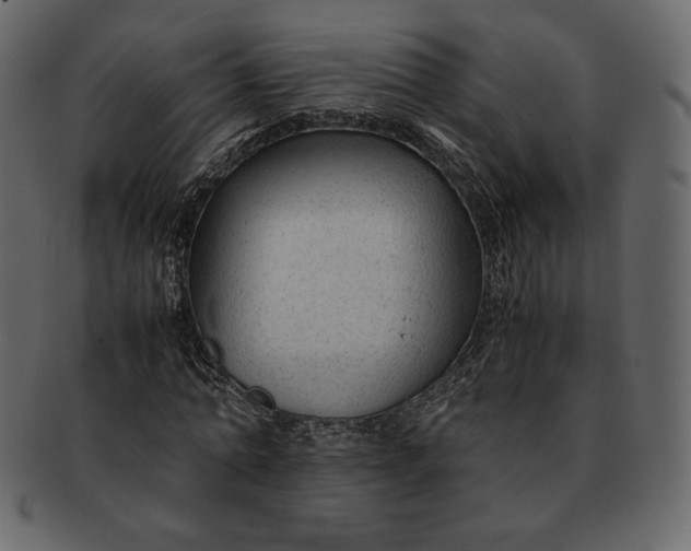 X0000092280774200710051143