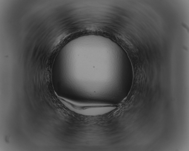 X0000092280776200710051143