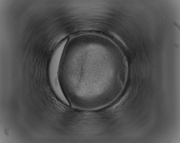 X0000092280777200710051143