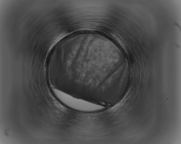 X0000092280779200710051143