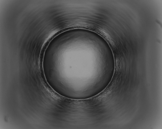 X0000092280780200710051143