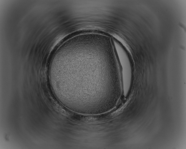 X0000092280783200710051143