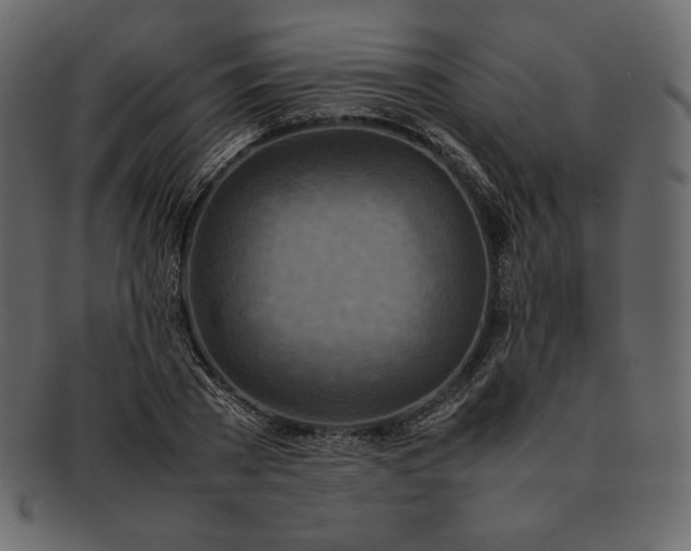 X0000092280785200710051143