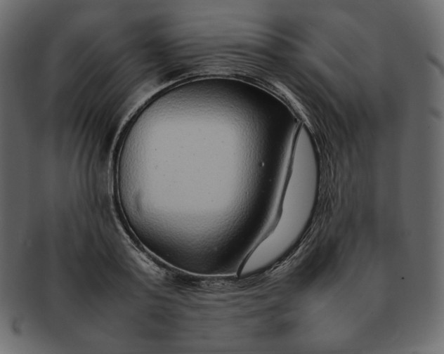 X0000092280795200710051143