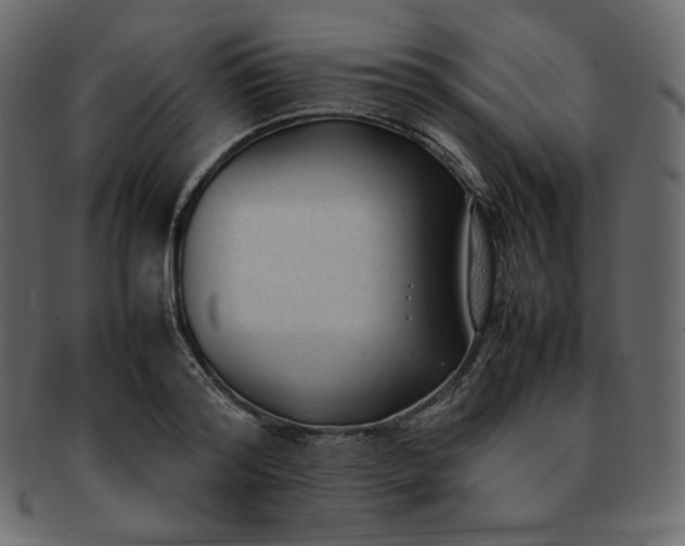 X0000092280796200710051142