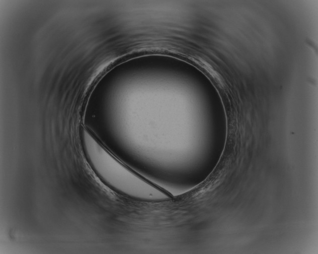 X0000092280799200710051142