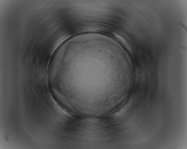 X0000092280802200710051142