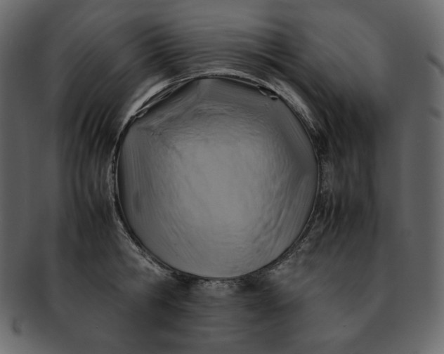 X0000092280806200710051142