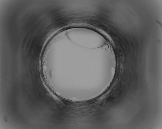 X0000092280807200710051142