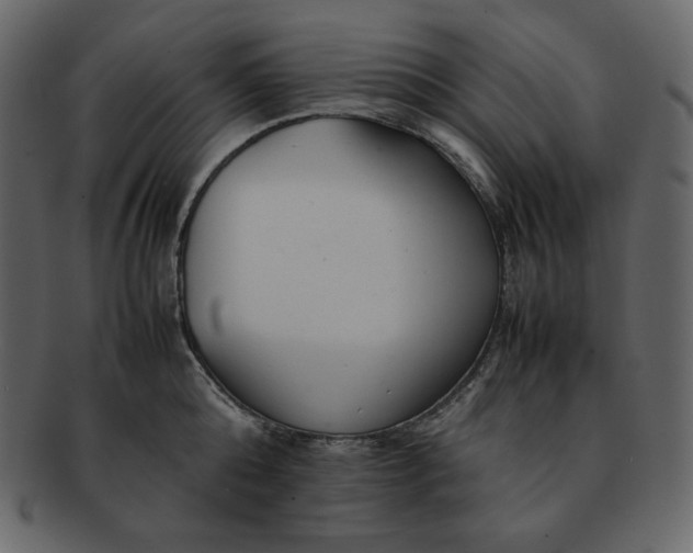 X0000092280808200710051142