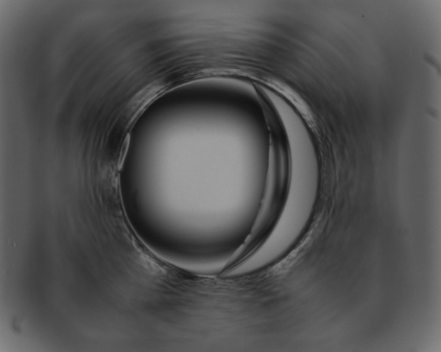 X0000092280809200710051142