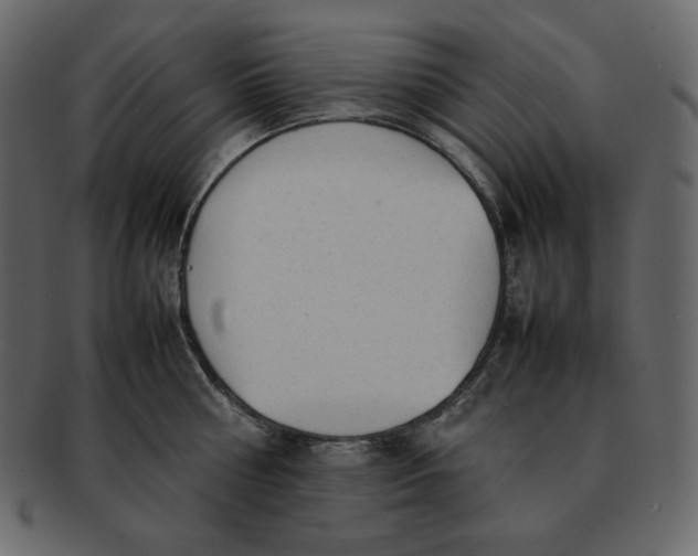 X0000092280810200710051142