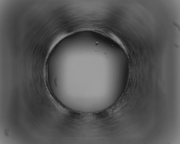 X0000092280811200710051142