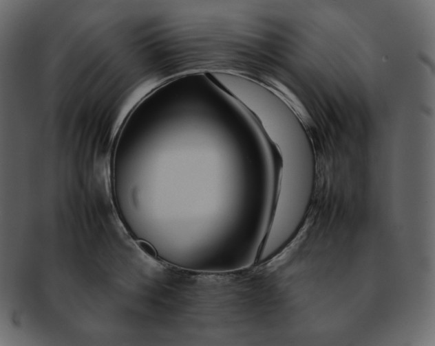 X0000092280812200710051142