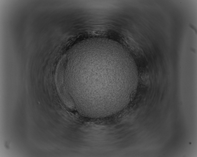 X0000092280817200710051141