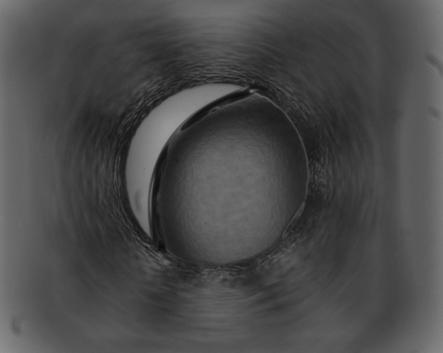 X0000092280818200710051141