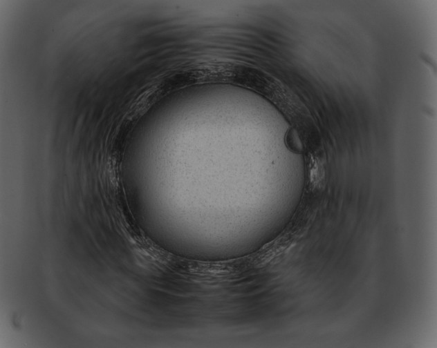 X0000092280819200710051141