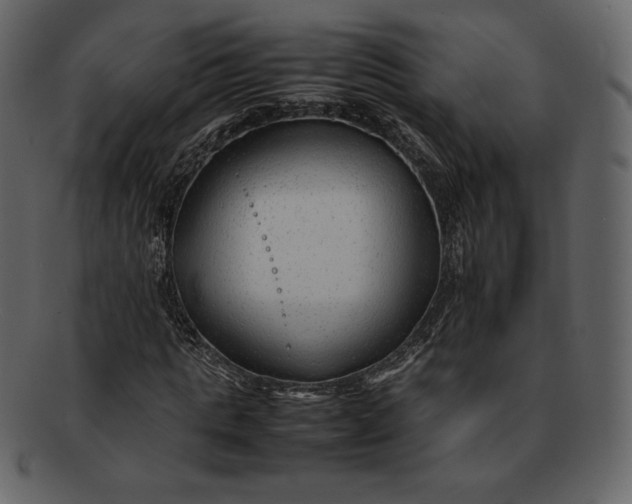 X0000092280821200710051141