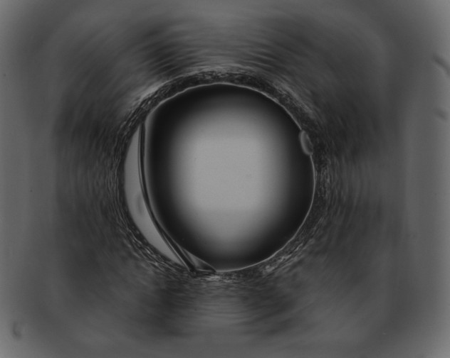 X0000092280822200710051141