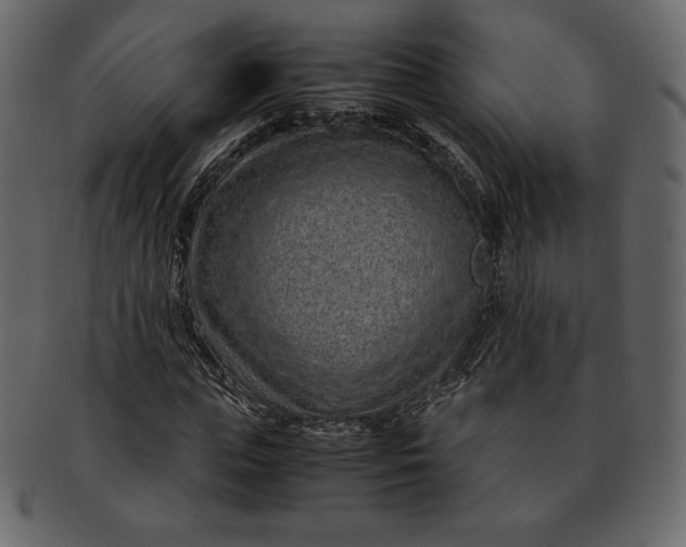 X0000092280823200710051142