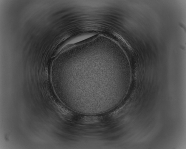 X0000092280825200710051142