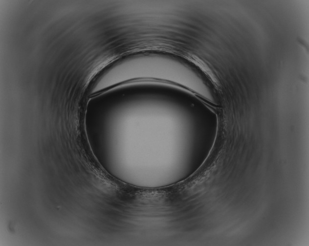 X0000092280826200710051142