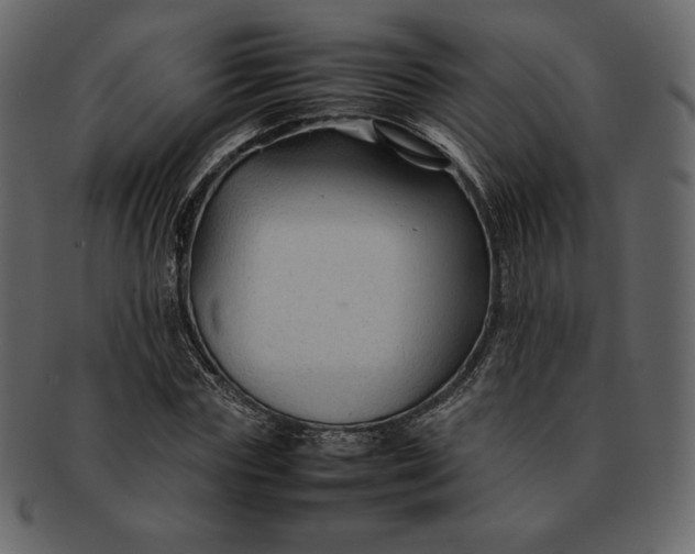 X0000092280827200710051142