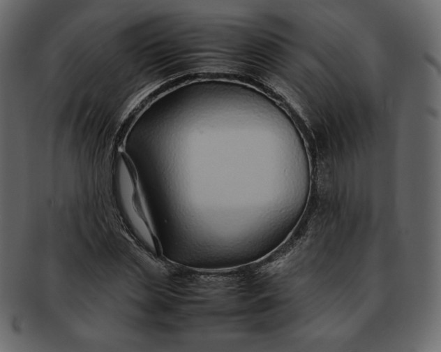 X0000092280829200710051142