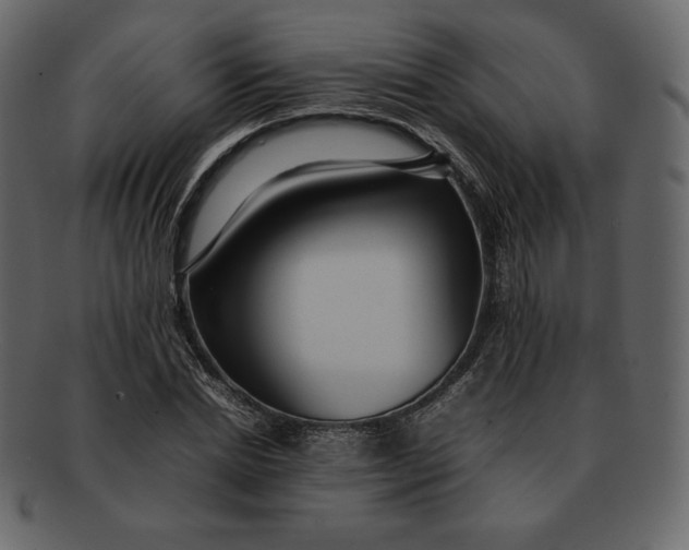 X0000092280830200710051142