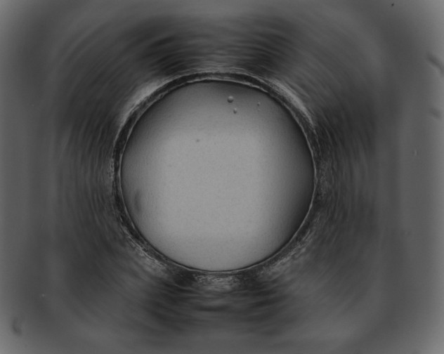 X0000092280831200710051142