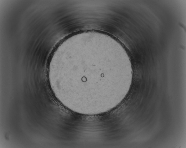 X0000092280832200710051142