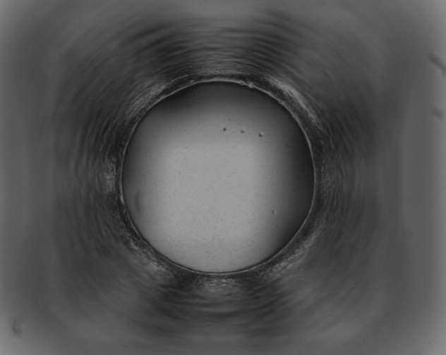 X0000092280833200710051142