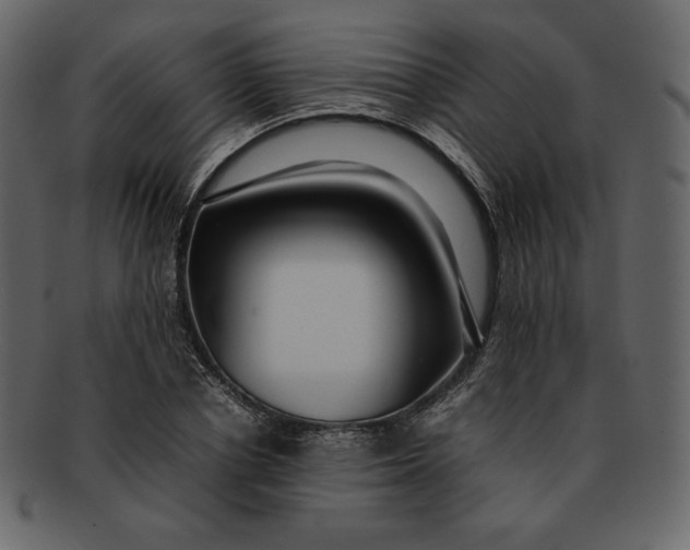 X0000092280834200710051142