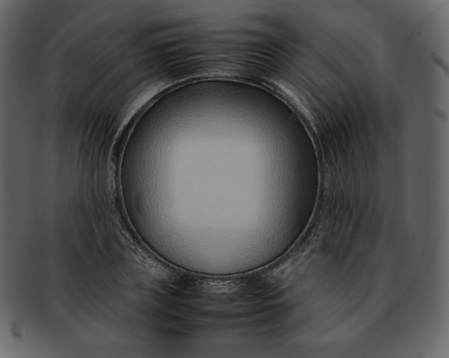 X0000092280835200710051142