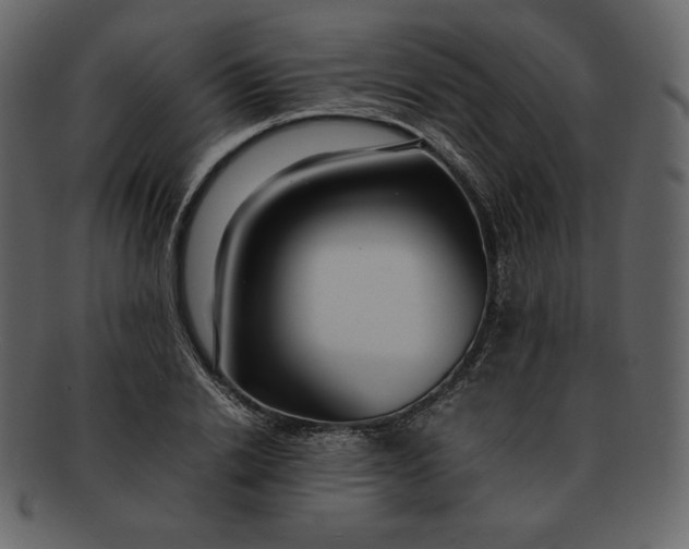 X0000092280838200710051142