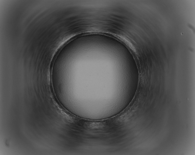 X0000092280839200710051142