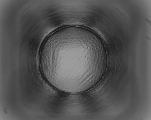 X0000092280840200710051142