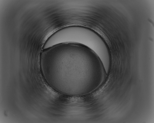 X0000092280842200710051142