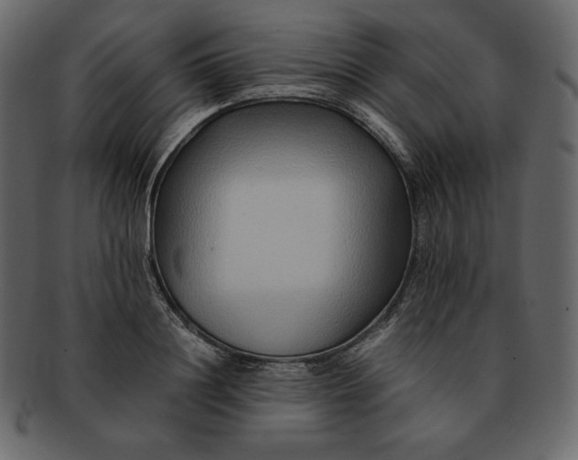 X0000092280844200710051142