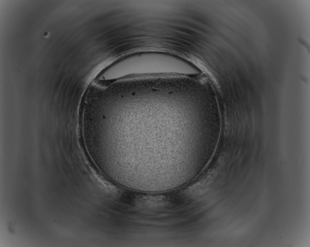 X0000092280845200710051142