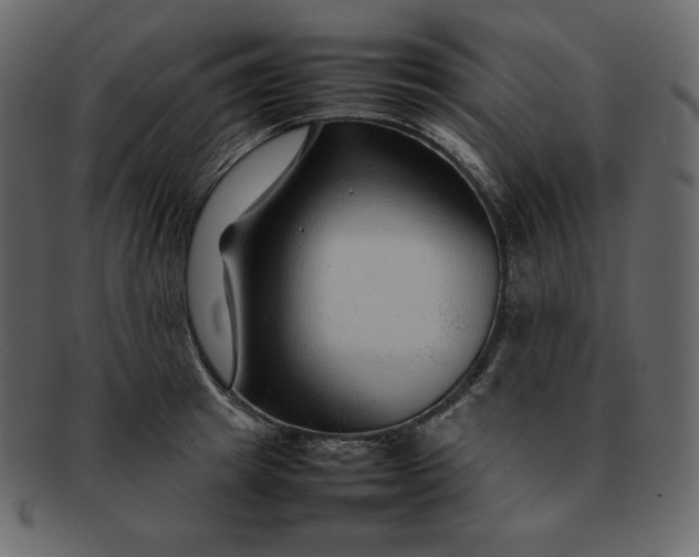 X0000092280849200710051142