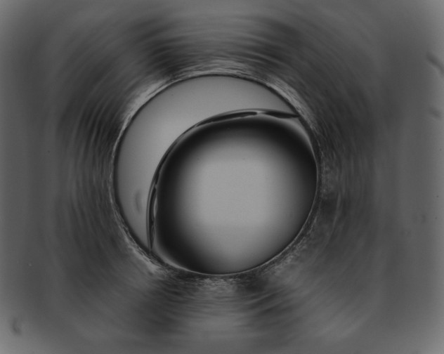 X0000092280850200710051142