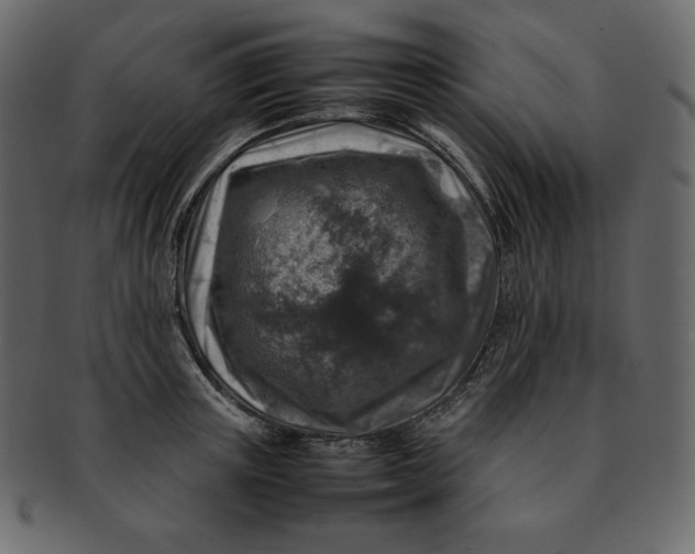 X0000092280851200710051142