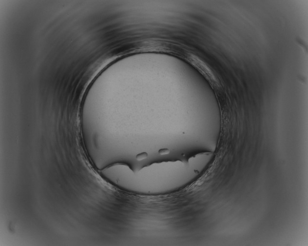 X0000092280852200710051142