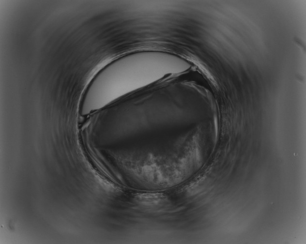 X0000092280853200710051142